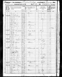 1850 US Census, Tennessee, Grainger Co, Eliza Johnson