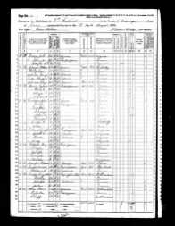1870 US Census, Tennessee, Grainger, Beans Station, Eliza Johnson