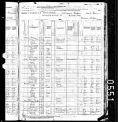 1880 US Census, Tennessee, Grainger, Johnson, Eliza
