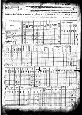 1880 US Census, Texas, Tarrant Co, Agricultural Schedule, Bailey, O L