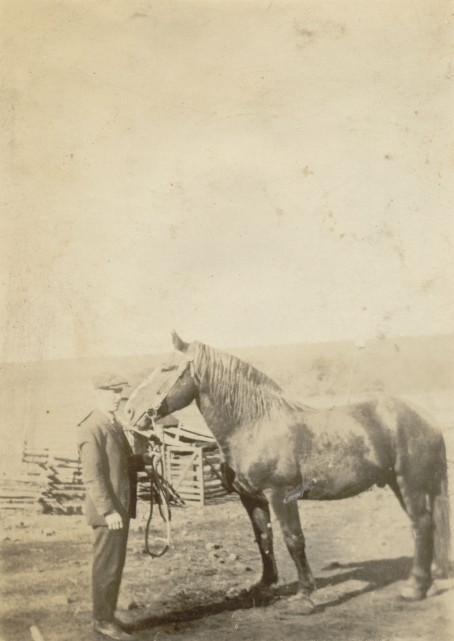 Charles Council Bailey and one of his horses